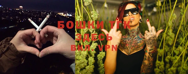 винт Нея